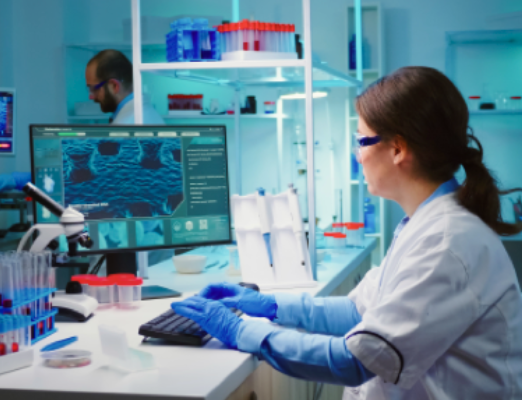 Key Highlights of Grigol Robakidze University