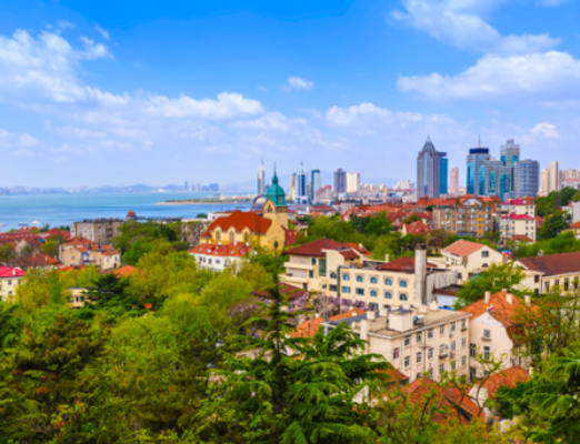 Why Choose Grigol Robakidze University (GRUNI) for MBBS?